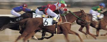 Oneida County Fair Horse Racing